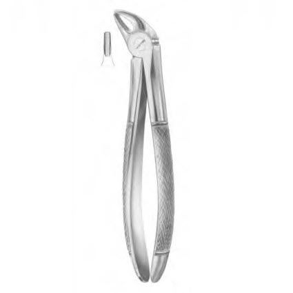 Fórceps de extracción dental pediátrico - 1035 - Thempson - para incisivos inferiores / tipo inglés