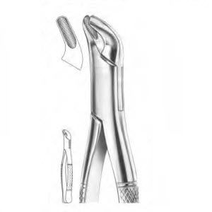 Fórceps de extracción dental para premolares - 1225 - Thempson - americano