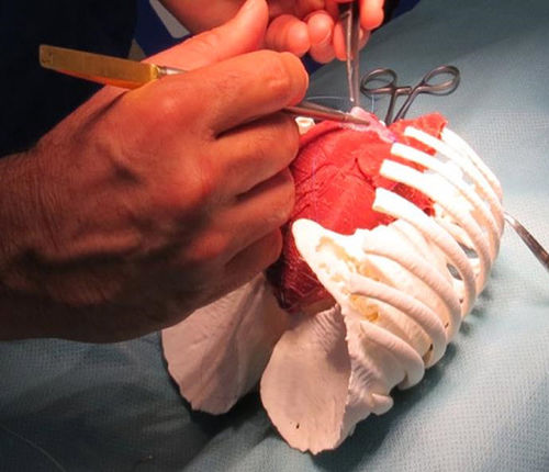 Simulador para cirugía cardíaca - 3D Lifeprints UK Ltd - para cirugía robótica