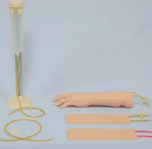 Modelo anatómico de brazo - 3D Lifeprints UK Ltd - de inyección / de formación / infantil