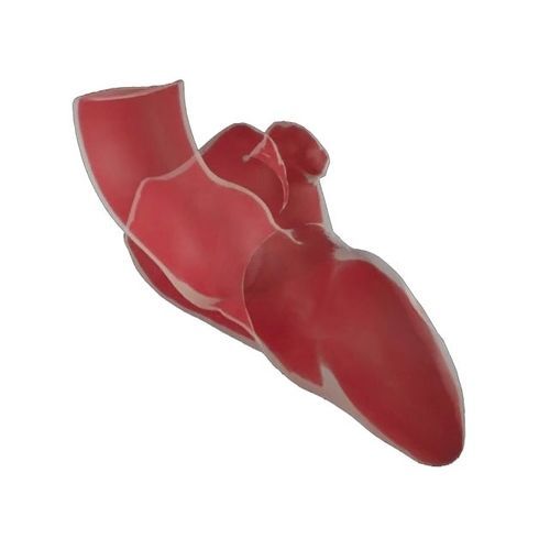 Software de análisis - ADAM - Materialise UK - de diseño / de CAD / de modelado
