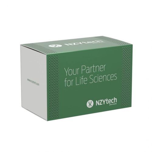 Kit de reactivos en solución - Supreme HC NZY - NZYTech - enzima / retrotranscriptasa / tampón de dilución