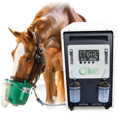 Concentrador de oxígeno veterinario - 00250 - Zhengzhou Olive Electronic Technology - con ruedas / PSA / de flujo continuo