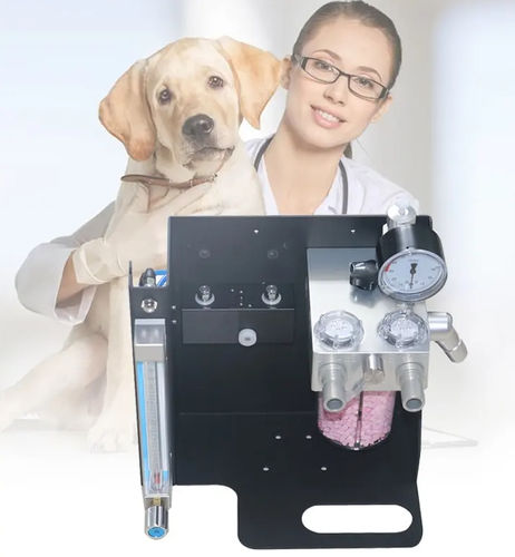 Estación de anestesia veterinaria en carro - OLV-V1 - Zhengzhou Olive Electronic Technology