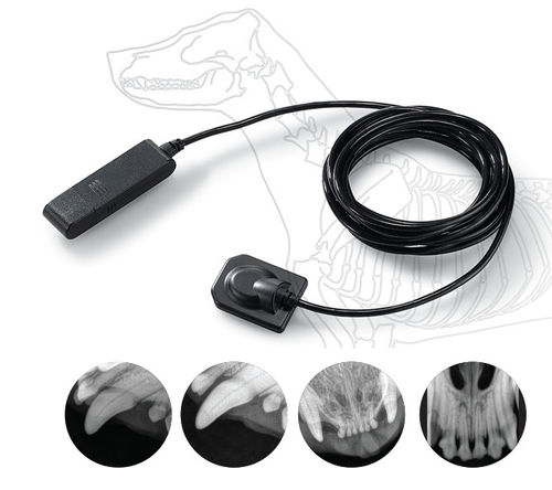 Panel detector plano intraoral para radiografía veterinaria - EzSensor 2.0 - MYVET