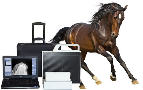 Sistema de adquisición para radiografía veterinaria - DR - MYVET - portátil