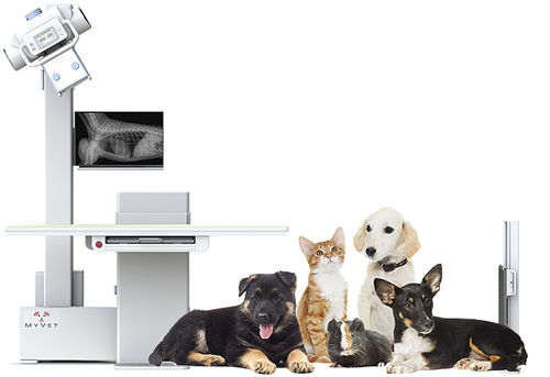 Sistema de radiografía veterinaria digital - i72W - MYVET