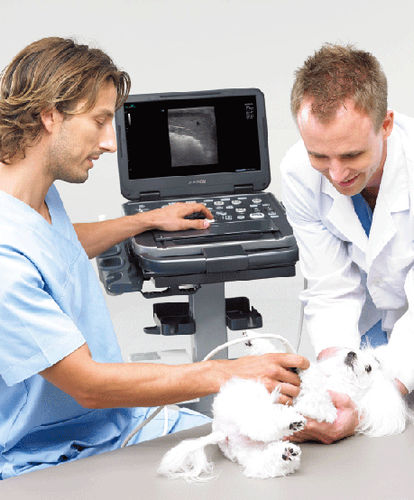 Ecógrafo veterinario con soporte - E-CUBE i7 - MYVET - multifuncional