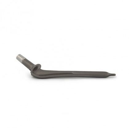 Prótesis de cadera veterinaria no cementada - BP-TES-2 - PORTE.Vet - para artroplastia total de cadera
