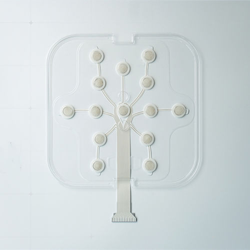 Electrodo EEG - NE - Wuhan Greentek - médico / de un solo uso