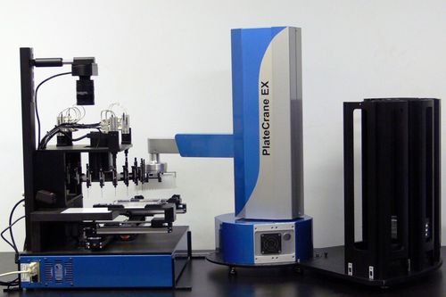Inoculador multipunto automático - RapidPick Lite  - Hudson Robotics