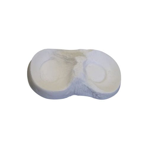 Modelo anatómico de hueso - 6000-05 - Nacional Ossos - de menisco / para cirugía ortopédica / de formación