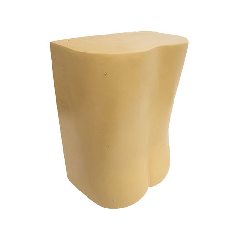 Simulador de paciente de punción lumbar - 10476 - Nacional Ossos - para neurocirugía del raquis / con trauma / adulto