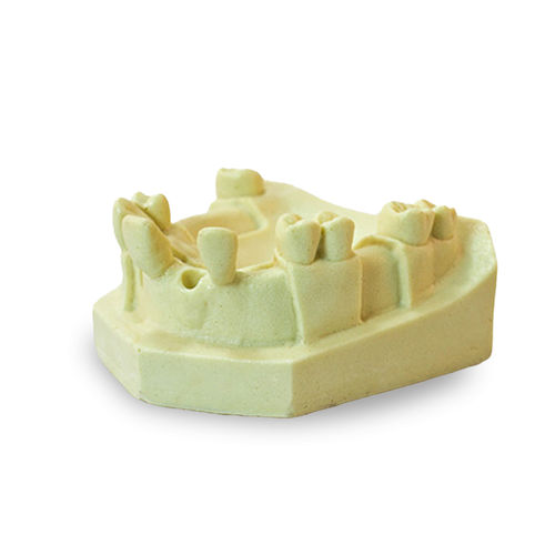 Modelo anatómico de dientes - 4802 - Nacional Ossos - de hueso / de maxilar / de implantología