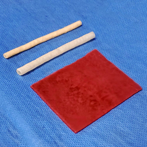 Modelo anatómico de vejiga - 10 series - LifeLike BioTissue Inc. - de uréter / de cirugía / quirúrgico