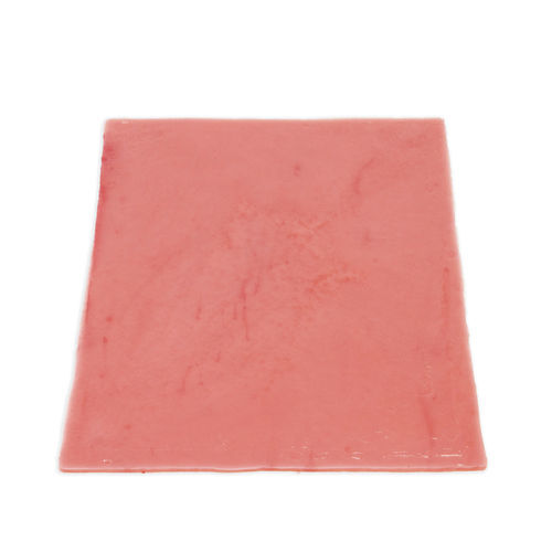Modelo anatómico de vejiga - 060 series - LifeLike BioTissue Inc. - quirúrgico / para cuidados urológicos / de formación