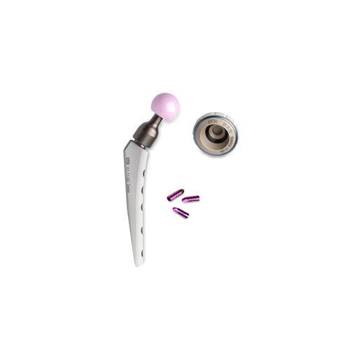 Prótesis de cadera veterinaria no cementada - Zurich THR - KYON - para artroplastia total de cadera / para perros