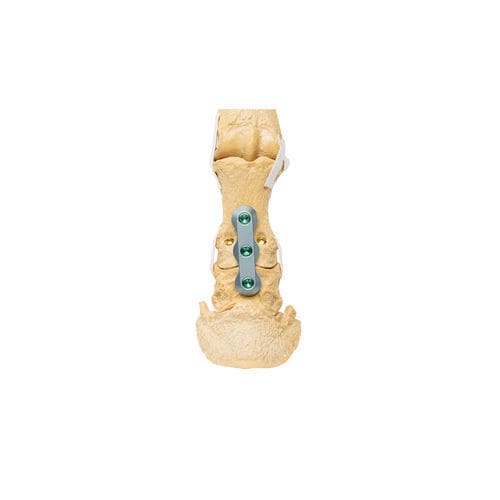 Placa ósea veterinaria para caninos - ALPS® PIP - KYON - genérica / proximal