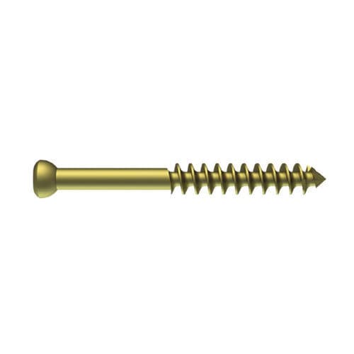 Tornillo de compresión ósea para fragmentos óseos grandes - PNM2029 - NORMMED Medical Devices - canulado / metálico / no bloqueado