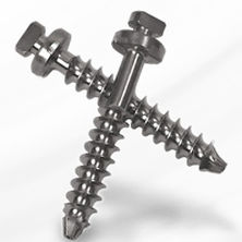 Tornillo de artrodesis para vértebra lumbar - Capture™ - Spineology - metálico