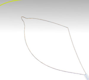 Cesta endoscopica para la extracción de pólipos intestinales - ezSnare™ Crescent - Endo-Therapeutics - recta