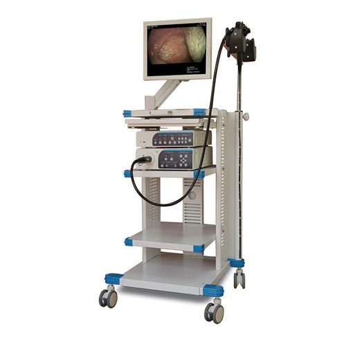 Videogastroscopio de muy alta definición - FD-28L - Hunan Fude Technology - con monitor de vídeo integrado