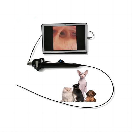 Broncoscopio veterinario vídeo - FD-58A - Hunan Fude Technology - para animales pequeños / con canal operador