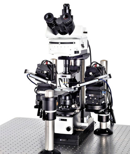 Sistema patch-clamp para la investigación - SliceScope Pro 1000 - Scientifica - con microscopio invertido