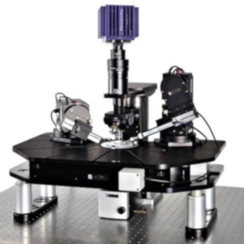 Sistema patch-clamp para la investigación - SliceScope Pro 3000 - Scientifica
