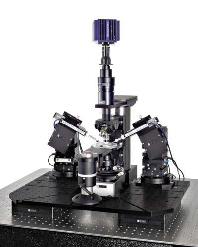 Sistema patch-clamp para la investigación - SliceScope Pro 6000 - Scientifica