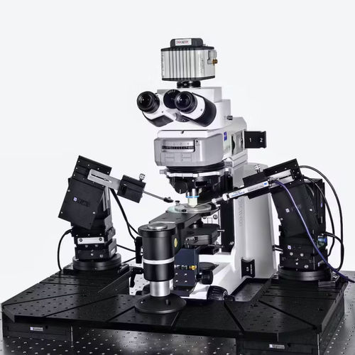 Sistema patch-clamp - Patch Pro 6000 - Scientifica