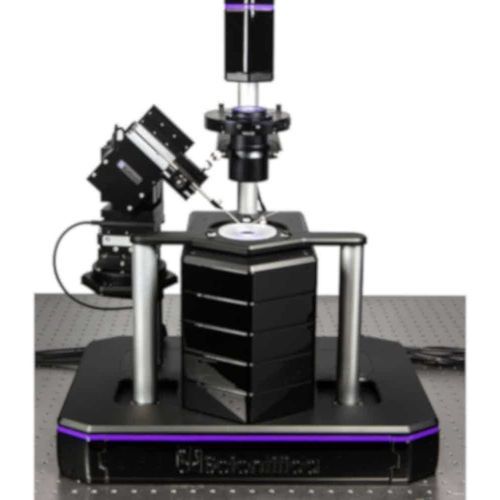 Microscopio óptico - PatchScope Pro 1000 - Scientifica - neurociencias / invertido / de fluorescencia