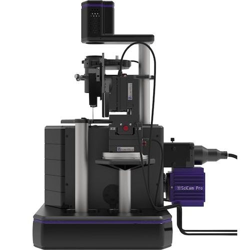 Microscopio óptico - PatchScope Pro 2000 - Scientifica - neurociencias / invertido / de fluorescencia