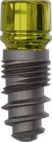 Implante dental cónico - Champions (R)Evolution® - Champions-Implants - de titanio / interno / recto