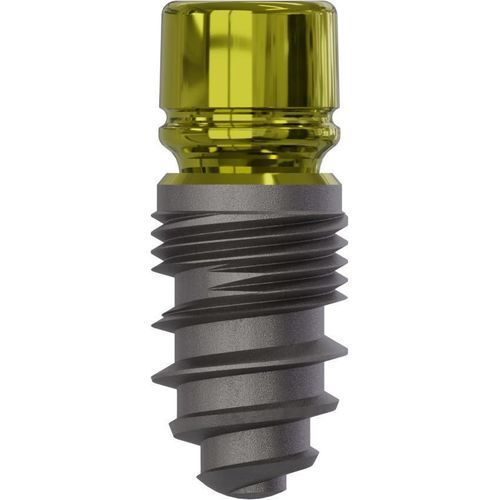 Implante dental cilíndrico - Champions (R)Evolution® - Champions-Implants - de titanio / interno / recto