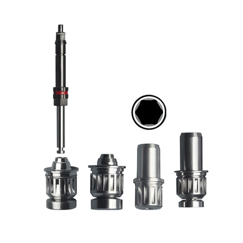 Destornillador dental para piezas de mano - Shanghai LZQ Precision Tool