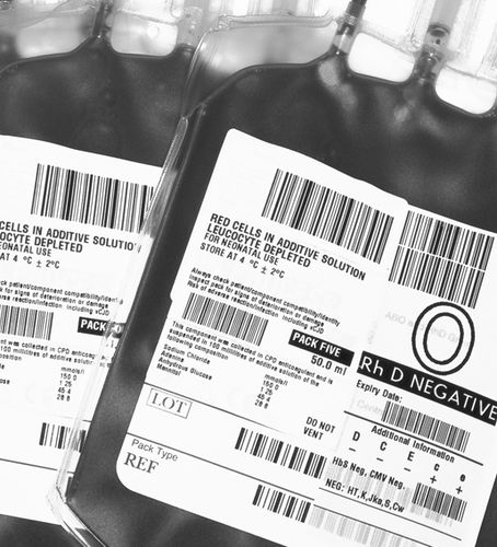 Sistema de gestión de banco de sangre - TDBloodBank - TECHNIDATA - de datos de pacientes / de la información / de trazabilidad