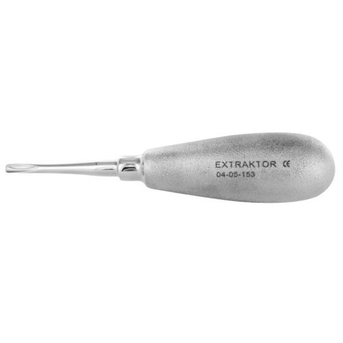 Elevador dental recto - 04-05-153 - Accesia - veterinario