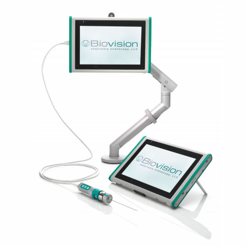 Artroscopio veterinario vídeo - NeedleView™ - Biovision Veterinary Endoscopy
