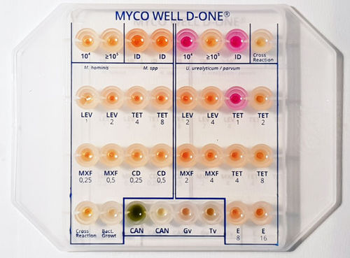 Kit de prueba de susceptibilidad antimicrobiana - MS01283 - CPM SAS - para análisis de identificación / Mycoplasma / de Gardnerella vaginalis