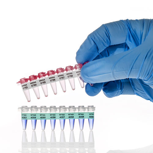 Etiqueta para tubos PCR - PCR-TAG™ - GA International - a prueba de calor / criogénica / para almacenamiento a largo plazo
