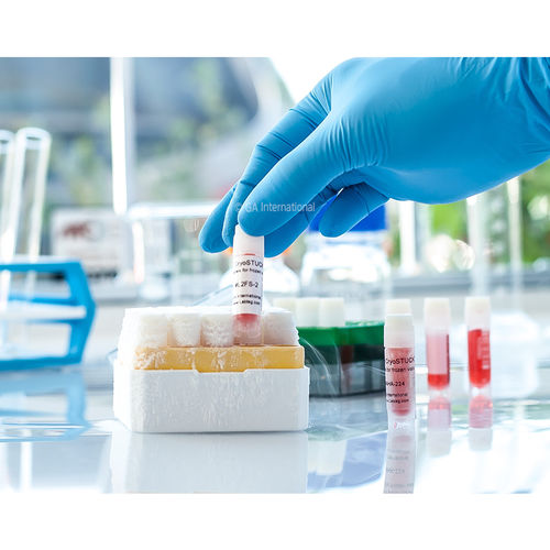 Etiqueta para tubos criógenos - CryoSTUCK® - GA International - para tubos de microcentrífuga / para frascos / para cajas criogénicas