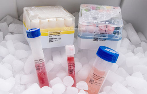 Etiqueta para tubos - Freezer-DTermo™ - GA International - para cajas de congelación / para frascos de almacenamiento / para vasos de precipitados
