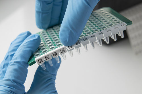 Etiqueta para microplacas - IDenti-PCR™ - GA International - a prueba de calor / de ultracongelación
