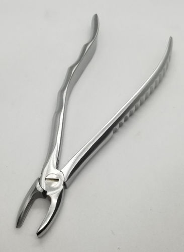 Fórceps de extracción dental para dientes caninos - 12-43-003 - Lorien Industries