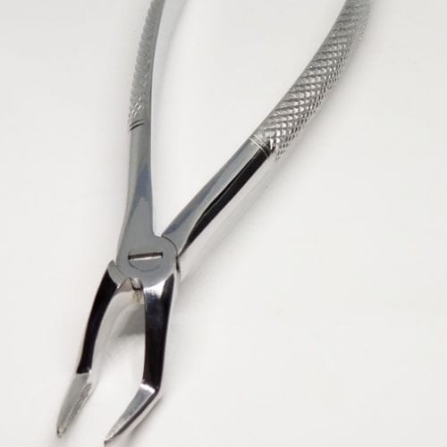 Fórceps de extracción dental para raíz dental - 12-44-006 - Lorien Industries