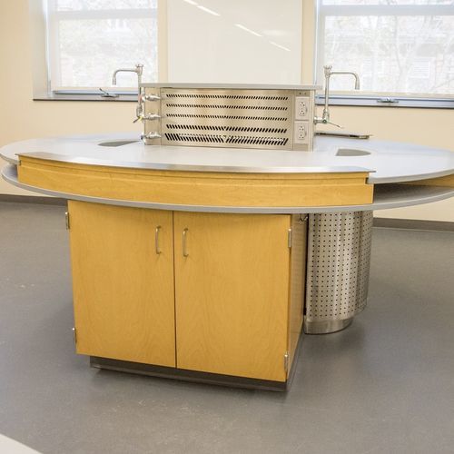Estación de trabajo de laboratorio para la investigación científica - Mott Manufacturing - de pie / con ventilación