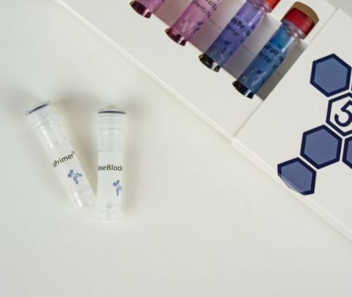 Reactivo solución tampón - BaseBlocker™ - PentaBase - para biología molecular / liofilizado