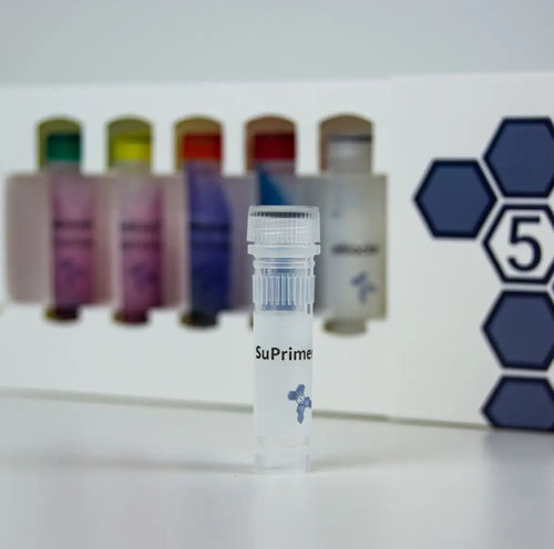Reactivo en solución - SuPrimer™ - PentaBase - para biología molecular / liofilizado