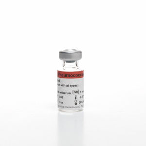 Reactivo antisuero - OMNI - SSI Diagnostica - anticuerpos / anticuerpo policlonal / para la investigación